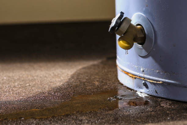 Best Mold removal after water damage  in Ishpeng, MI
