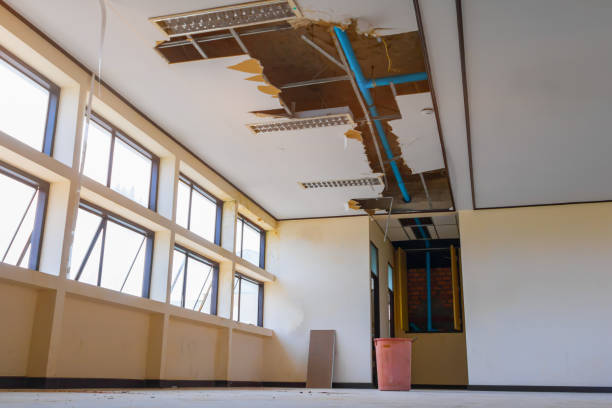Best Emergency water damage restoration  in Ishpeng, MI
