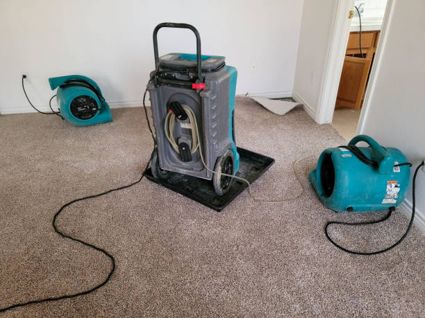  Ishpeng, MI Water damage restoration Pros