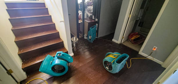 Best Carpet water damage restoration  in Ishpeng, MI