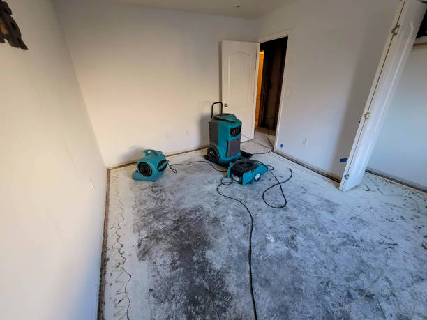Best Sewage cleanup and water damage restoration  in Ishpeng, MI
